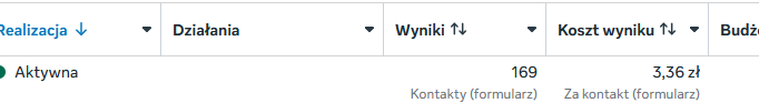 Panel kampanii Meta Ads: 169 kontaktów przy koszcie 3,36 zł za kontakt